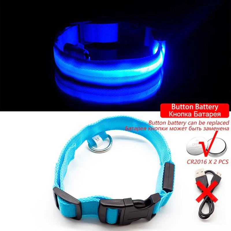 USB Charging Led Dog Collar Anti-Lost/Avoid Car Accident Collar for Dogs Puppies Dog Collars Leads LED Supplies Pet Products